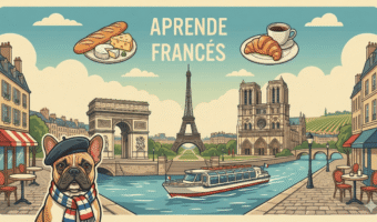 frances d